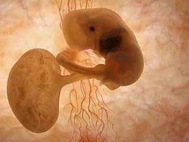 月经过多血块多吃中药怎么调理？