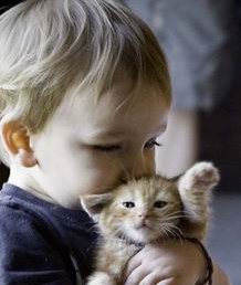 贵州医院三代试管婴儿手术费用全解析：公开收费表，生育孩子需多少钱？